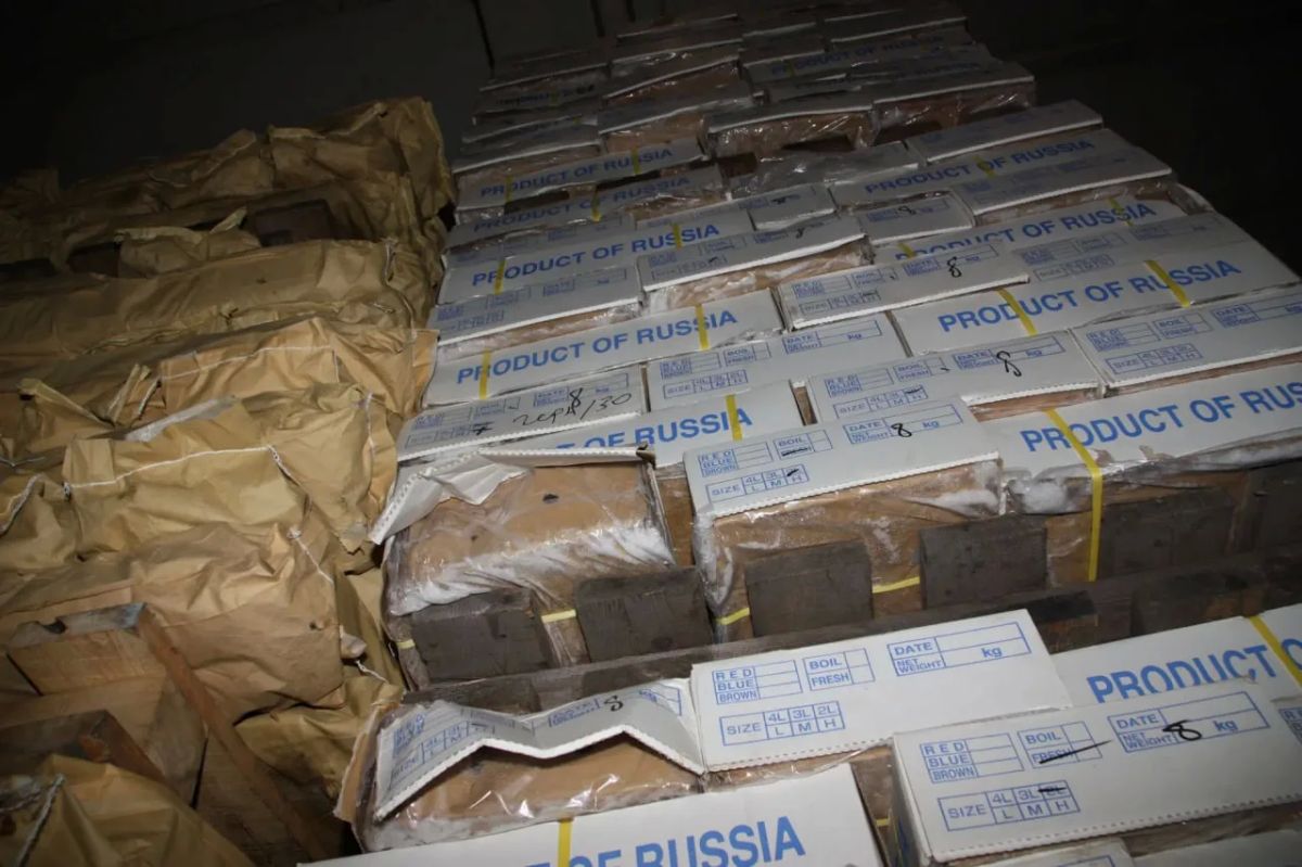 Мошенники атакуют российских рыбаков