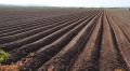 Камчатские аграрии завершили посевные работы