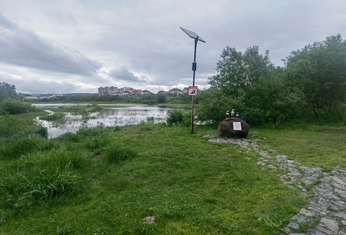 Горожанам напоминают о запрете купания в водоемах в городской черте Горожанам напоминают о запрете купания в водоемах в городской черте