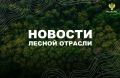 Коммерсант: Госдума приняла законопроект о реформе лесоустройства