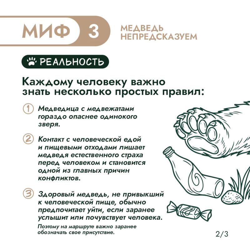 Правда или миф? Проверим, что вы знаете о медведях Правда или миф? Проверим, что вы знаете о медведях