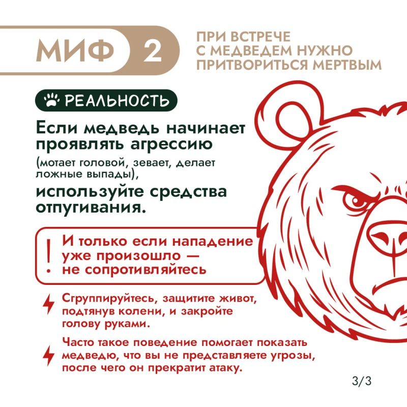 Правда или миф? Проверим, что вы знаете о медведях Правда или миф? Проверим, что вы знаете о медведях