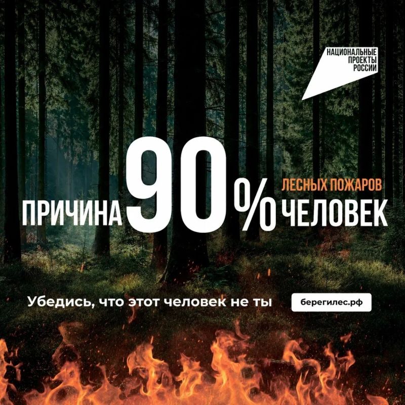 Большинство лесных пожаров возникает изза неосторожного обращения человека с огнём