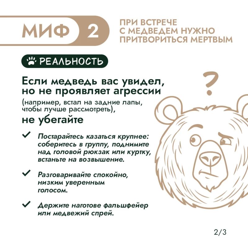 Правда или миф? Проверим, что вы знаете о медведях Правда или миф? Проверим, что вы знаете о медведях