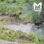 Непутёвая мать растеряла детей в реке на Камчатке