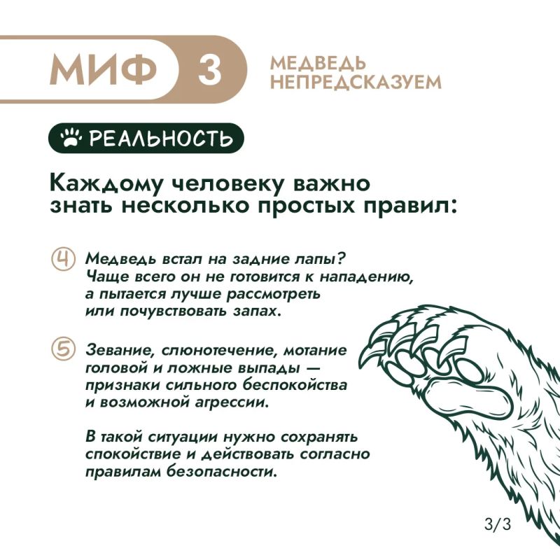 Правда или миф? Проверим, что вы знаете о медведях Правда или миф? Проверим, что вы знаете о медведях