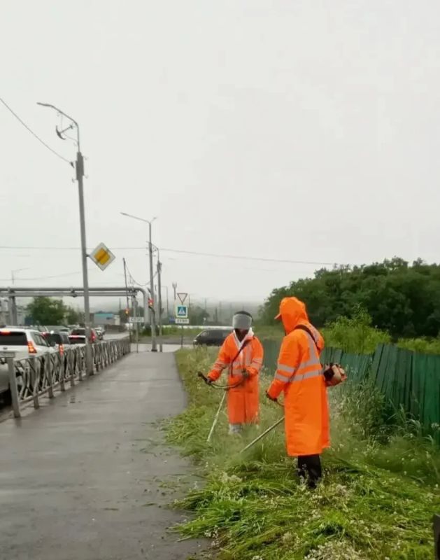 Город день за днем. 27 июля 2026 года В Петропавловске-Камчатском в ежедневном режиме продолжаются работы по содержанию городских территорий Город день за днем. 27 июля 2026 года В Петропавловске-Камчатском в ежедневном режиме продолжаются работы по содержанию городских территорий