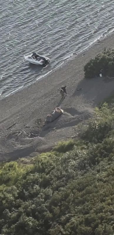 Лодка с четырьмя пропавшими на озере Красное на Камчатке найдена в районе Американской косы Лодка с четырьмя пропавшими на озере Красное на Камчатке найдена в районе Американской косы