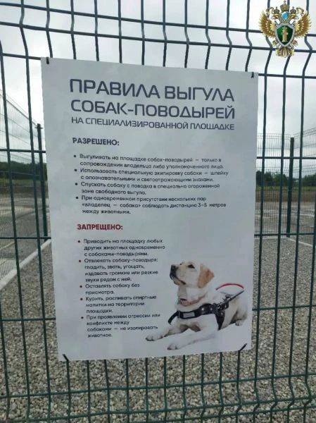 В главном аэропорту Камчатки обустроили площадку для выгула собак-поводырей