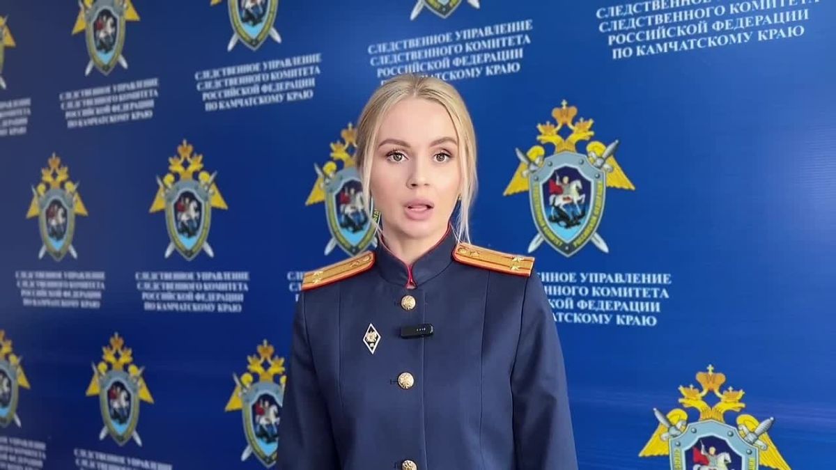 Официальный комментарий СК по делу о гибели новорождённой девочки на Камчатке