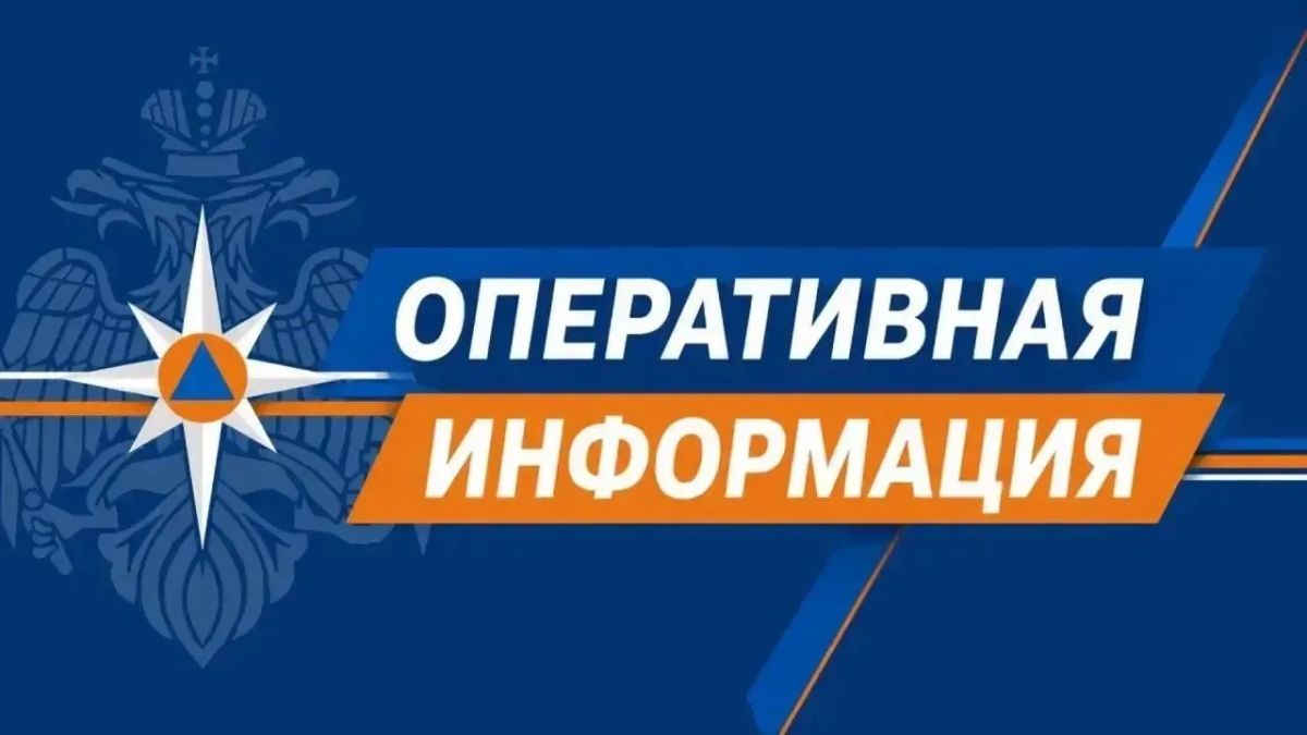 Землетрясение в цифрах. Подземный толчок зарегистрирован 31 июля в 9:53 в акватории Тихого океана