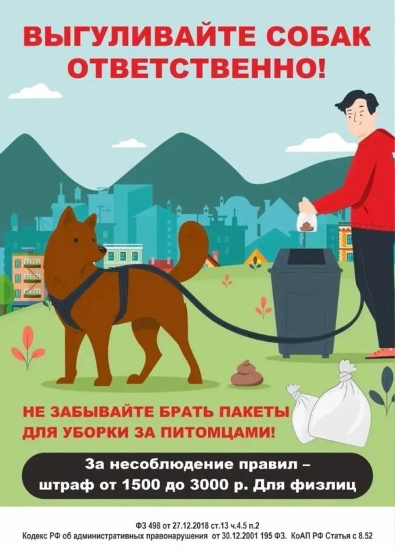 Выгул собак на придомовой территории и что обязана делать управляющая компания?