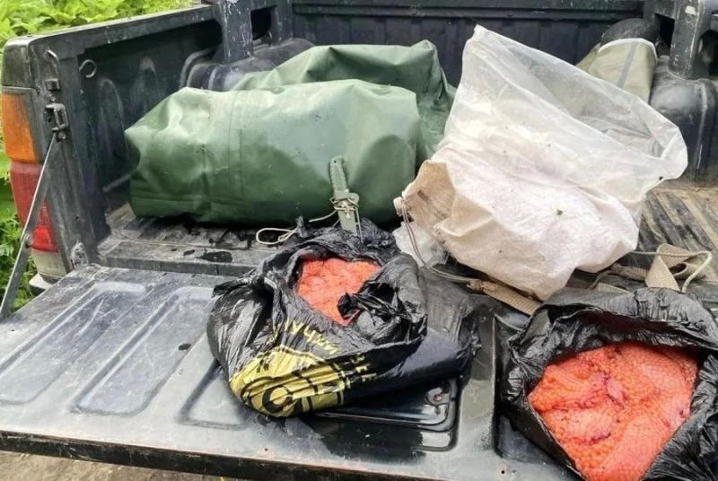На Камчатке бригадир родовой общины набраконьерил кеты с икрой на 1,8 млн рублей