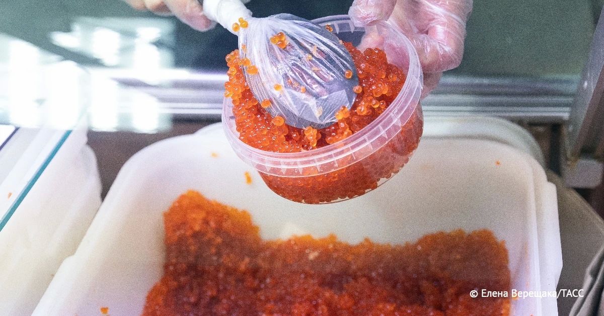 Полиция на Камчатке пресекла незаконную продажу красной икры и рыбы холодного копчения, в которых обнаружен запрещенный консервант уротропин