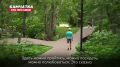 Парк «Дачный» становится точкой притяжения жителей и гостей Камчатки