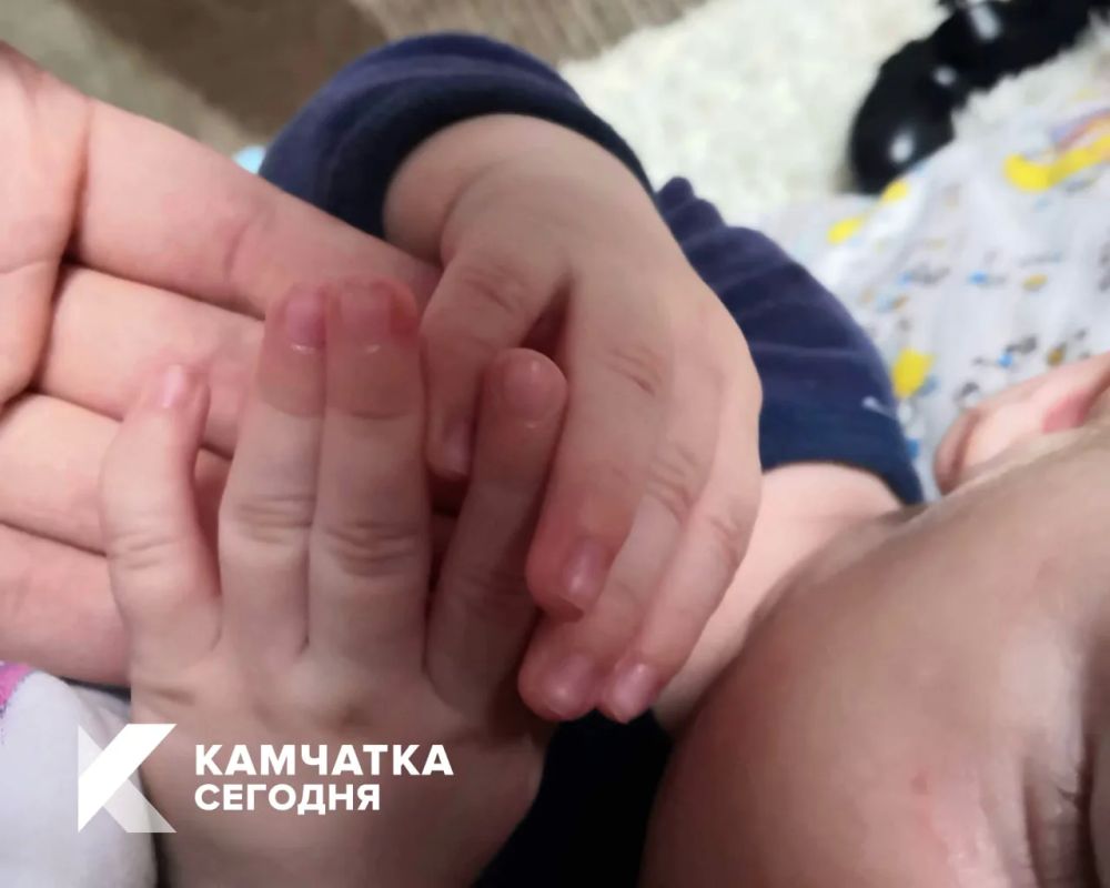 Более 2,5 тысяч семей на Камчатке получили ежегодную семейную налоговую выплату