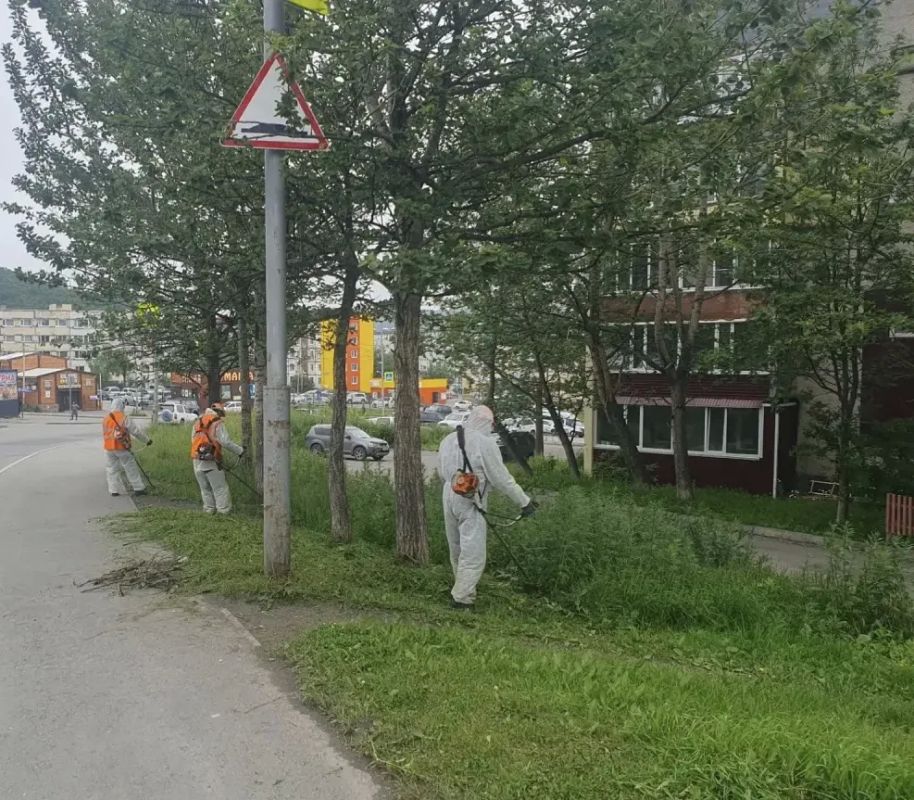 Город день за днем. 31 июля 2026 года Подрядные организации продолжают комплекс работ по содержанию городских территорий ПетропавловскаКамчатского Город день за днем. 31 июля 2026 года Подрядные организации продолжают комплекс работ по содержанию городских территорий ПетропавловскаКамчатского