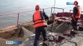 Камчатская путина в этом году идёт тяжело: рыба пришла позже, её оказалось меньше прогнозов, а сама она заметно мельче