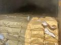 Камчатский колхоз имени Ленина оштрафовали за недозамороженную камбалу