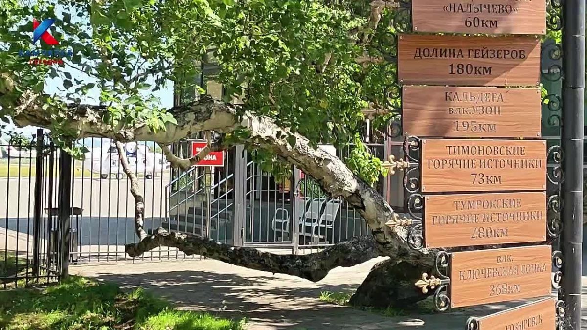 Дети участников СВО получили возможность увидеть камчатские достопримечательности