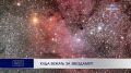 КУДА БЕЖАТЬ ЗА ЗВЕЗДАМИ?. Август - рекордный месяц по числу астрономических событий: затмения, парад планет и звёздопад