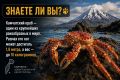 *. Камчатский Репортёр в MAX