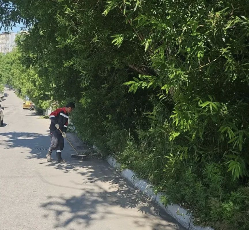 Город день за днем. 3 августа 2026 года В ПетропавловскеКамчатском подрядные организации ведут работы по содержанию городских территорий в круглосуточном режиме Город день за днем. 3 августа 2026 года В ПетропавловскеКамчатском подрядные организации ведут работы по содержанию городских территорий в круглосуточном режиме