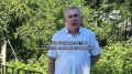 Что происходит до дня голосования: этапы избирательной кампании