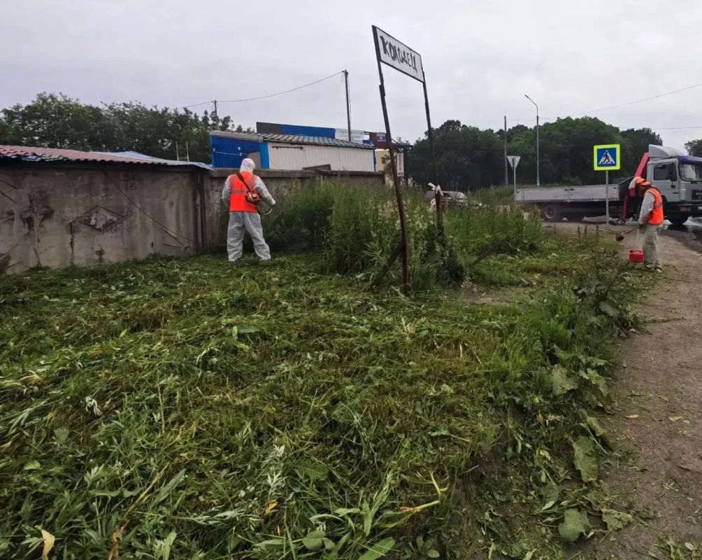 Город день за днем. . 5 августа 2026 года Подрядные организации в круглосуточном режиме продолжают комплекс мероприятий по содержанию городских территорий Город день за днем. . 5 августа 2026 года Подрядные организации в круглосуточном режиме продолжают комплекс мероприятий по содержанию городских территорий