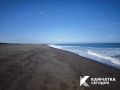 Камчатские учёные выясняют причины массовой гибели морских птиц