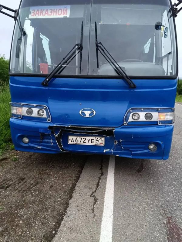 Автобус с вахтовиками сбил медведя у Сокоча Автобус с вахтовиками сбил медведя у Сокоча