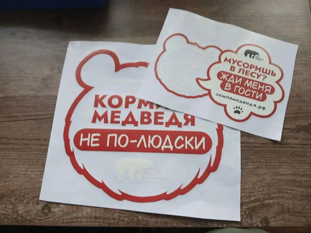 Автостикеры научат камчатцев правилам добрососедства с медведями Автостикеры научат камчатцев правилам добрососедства с медведями