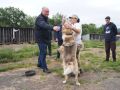 Краевой депутат посетил приют для бездомных собак «Под крылом Кутха»
