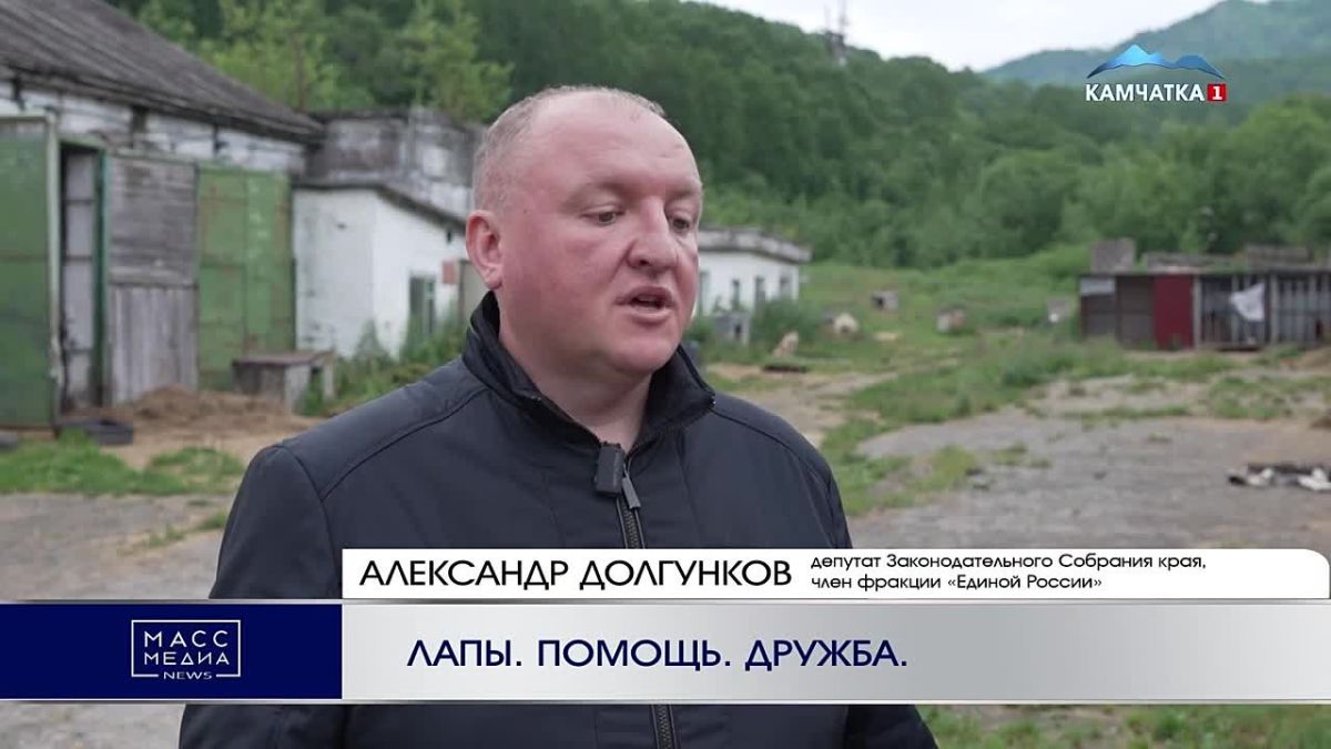 ЛАПЫ. ПОМОЩЬ. ДРУЖБА