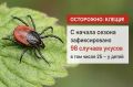 Клещи покусали почти вдвое больше камчатцев
