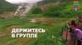 Напоминаем жителям города о необходимых мерах предосторожности в случае обнаружения дикого животного