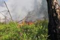 На Камчатке сохраняется опасность природных катаклизмов
