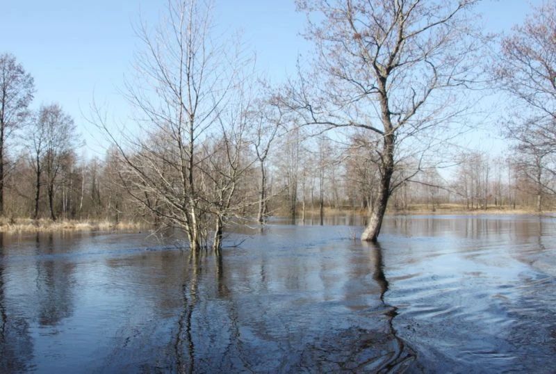 На Камчатке проверят организаторов похода с заблокированными рекой детьми