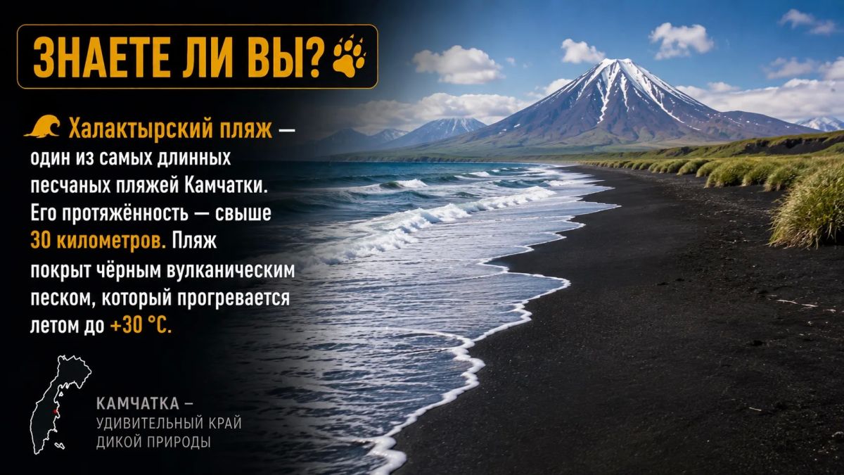 Камчатский Репортёр в MAX. ПРИСЛАТЬ НОВОСТЬ