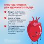 С 10 по 16 августа в России проходит Неделя профилактики сердечно-сосудистых заболеваний