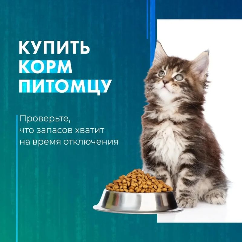 Пока интернет еще с нами, есть шанс успеть всё самое важное Пока интернет еще с нами, есть шанс успеть всё самое важное