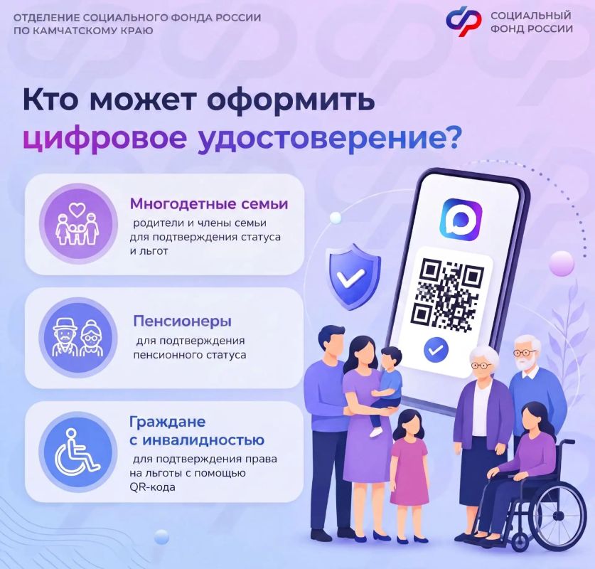 Подтвердить статус пенсионера, многодетного родителя или инвалидность для получения льготы можно не только с помощью бумажного документа Подтвердить статус пенсионера, многодетного родителя или инвалидность для получения льготы можно не только с помощью бумажного документа