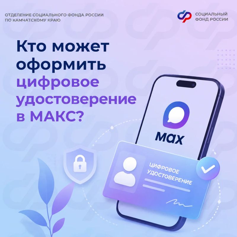 Подтвердить статус пенсионера, многодетного родителя или инвалидность для получения льготы можно не только с помощью бумажного документа