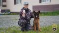 Безопасных и спокойных выходных желает вам инспектор-кинолог младший лейтенант полиции Юлия Перфилова с подрастающей сменой – будущей служебной собакой Ютой!