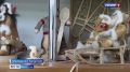 На алюторском языке сегодня говорят меньше ста человек