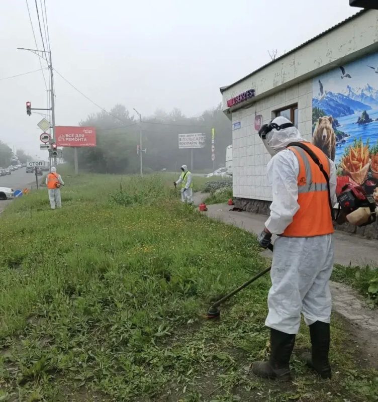 Город день за днем. 14 августа 2026 года В ПетропавловскеКамчатском продолжается комплекс мероприятий по содержанию городских территорий Город день за днем. 14 августа 2026 года В ПетропавловскеКамчатском продолжается комплекс мероприятий по содержанию городских территорий