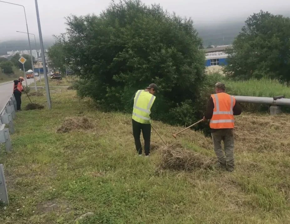 Город день за днем. 14 августа 2026 года В ПетропавловскеКамчатском продолжается комплекс мероприятий по содержанию городских территорий Город день за днем. 14 августа 2026 года В ПетропавловскеКамчатском продолжается комплекс мероприятий по содержанию городских территорий