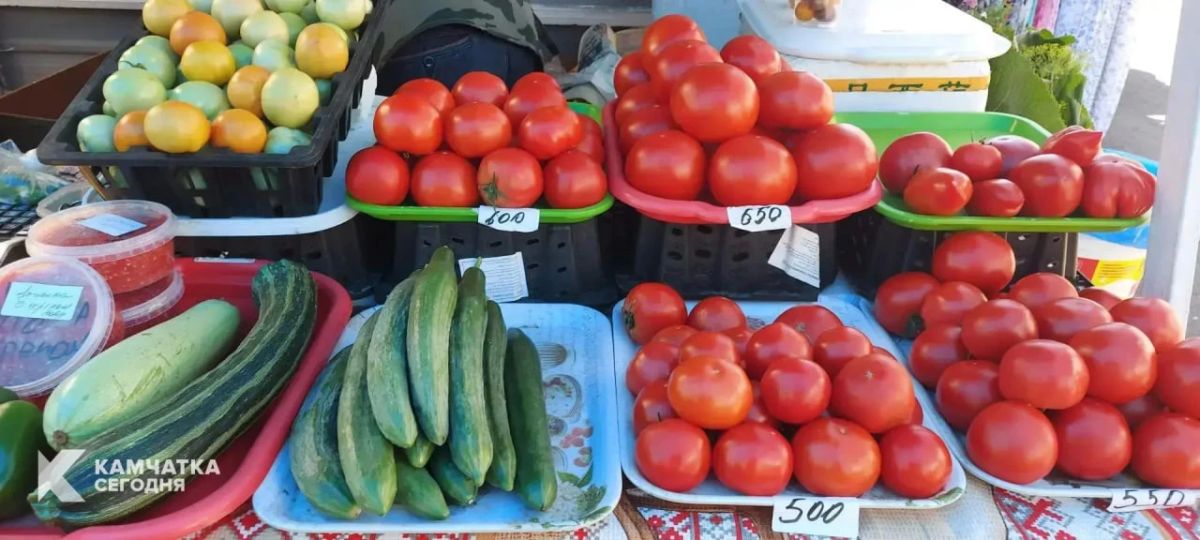 Вкусное камчатское лето. Лето одарило многих камчатских дачников и владельцев фермерских хозяйств богатыми урожаями, несмотря не перепады температур, затянувшееся «обезвоживание» и прохладные ветра Вкусное камчатское лето. Лето одарило многих камчатских дачников и владельцев фермерских хозяйств богатыми урожаями, несмотря не перепады температур, затянувшееся «обезвоживание» и прохладные ветра