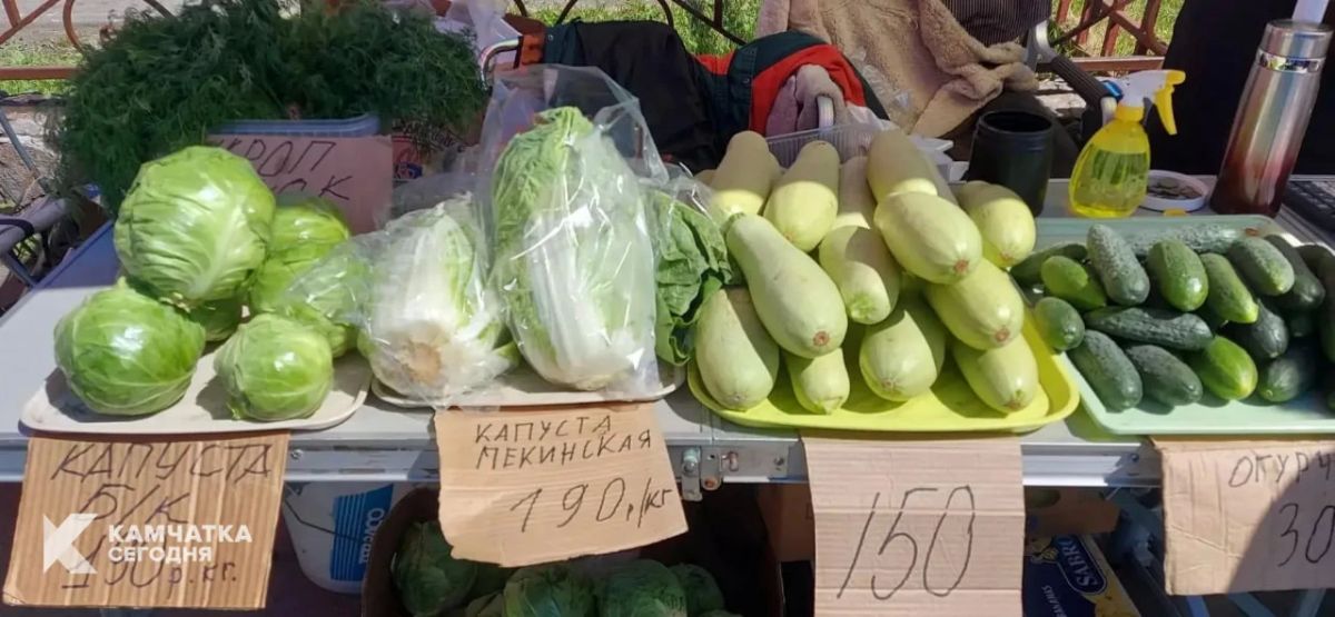 Вкусное камчатское лето. Лето одарило многих камчатских дачников и владельцев фермерских хозяйств богатыми урожаями, несмотря не перепады температур, затянувшееся «обезвоживание» и прохладные ветра Вкусное камчатское лето. Лето одарило многих камчатских дачников и владельцев фермерских хозяйств богатыми урожаями, несмотря не перепады температур, затянувшееся «обезвоживание» и прохладные ветра