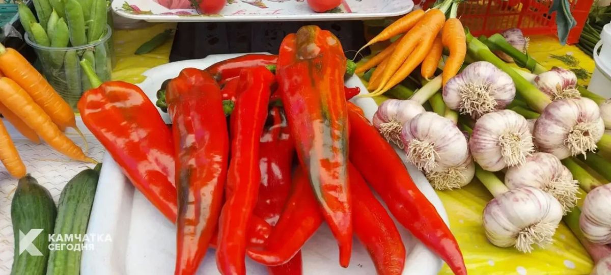 Вкусное камчатское лето. Лето одарило многих камчатских дачников и владельцев фермерских хозяйств богатыми урожаями, несмотря не перепады температур, затянувшееся «обезвоживание» и прохладные ветра Вкусное камчатское лето. Лето одарило многих камчатских дачников и владельцев фермерских хозяйств богатыми урожаями, несмотря не перепады температур, затянувшееся «обезвоживание» и прохладные ветра